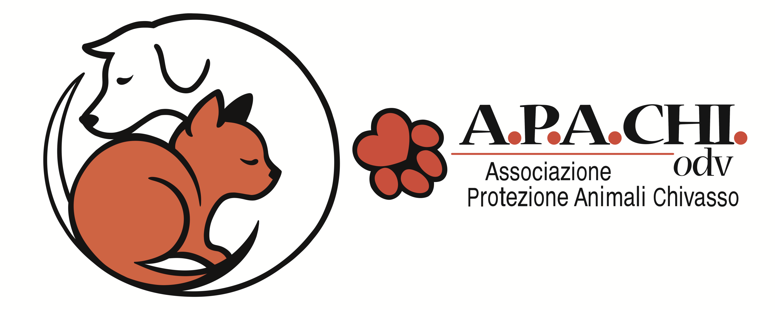 _2 logo_APACHI